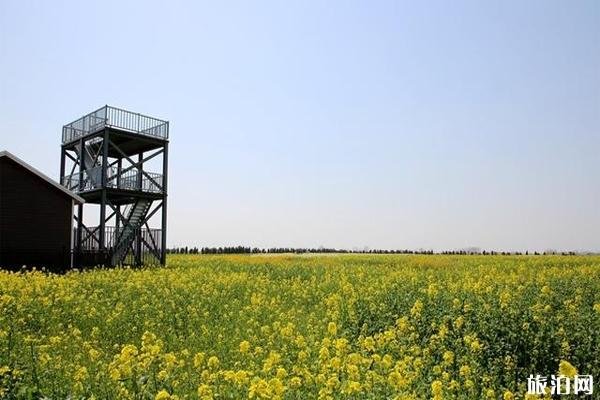 滁州市凤阳县小岗村乡村旅游区