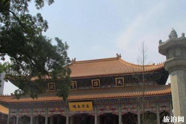 2024大兴善寺旅游攻略 - 门票价格 - 开放时间 - 优惠政策 - 交通 - 地址 - 电话 - 天气