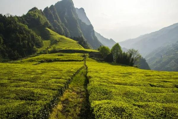 湖南壶瓶山风景区旅游攻略-门票价格-景点信息