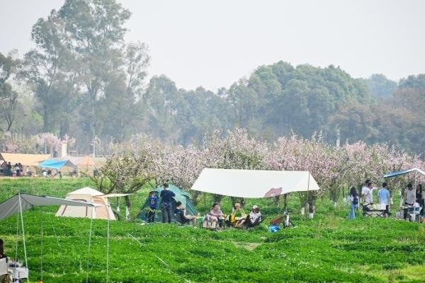 江门哪里适合野外露营