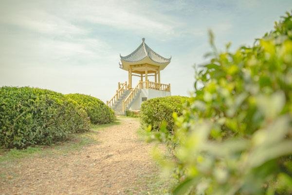 高淳游子山风景区游玩攻略-门票价格-景点信息