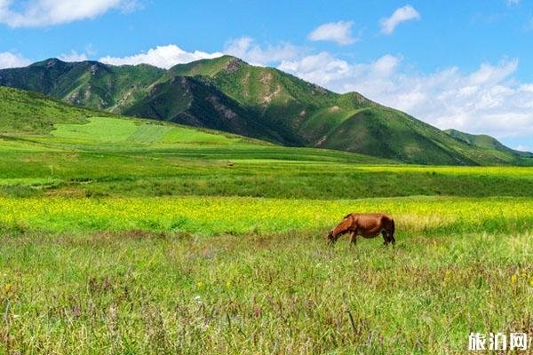 2023扁都口生态休闲旅游景区景区游玩攻略 - 门票价格 - 开放时间 - 地址 - 交通