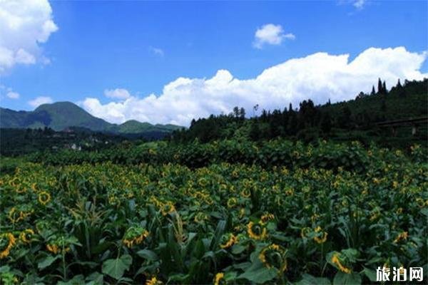 牧羊湖介绍 牧羊湖景区门票多少