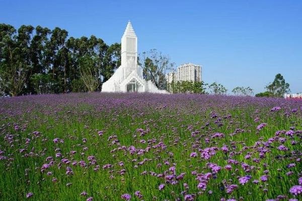 佛山露营野餐地点推荐