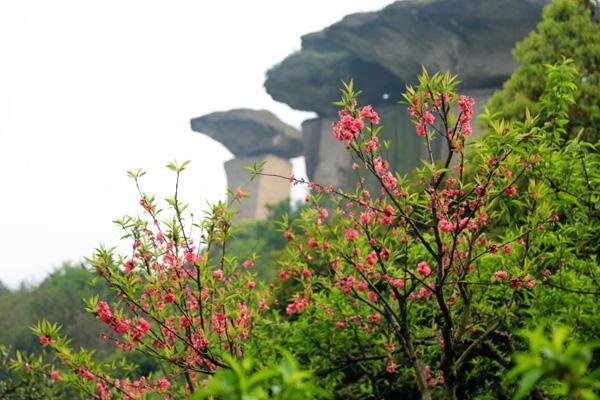 绍兴吼山风景区游玩攻略-门票价格-景点信息