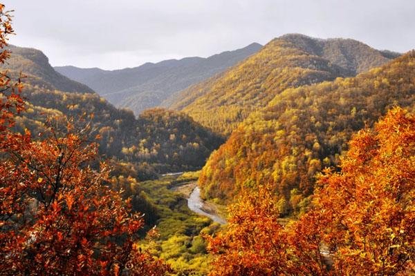 六盘山国家森林公园旅游攻略 景点一日游攻略