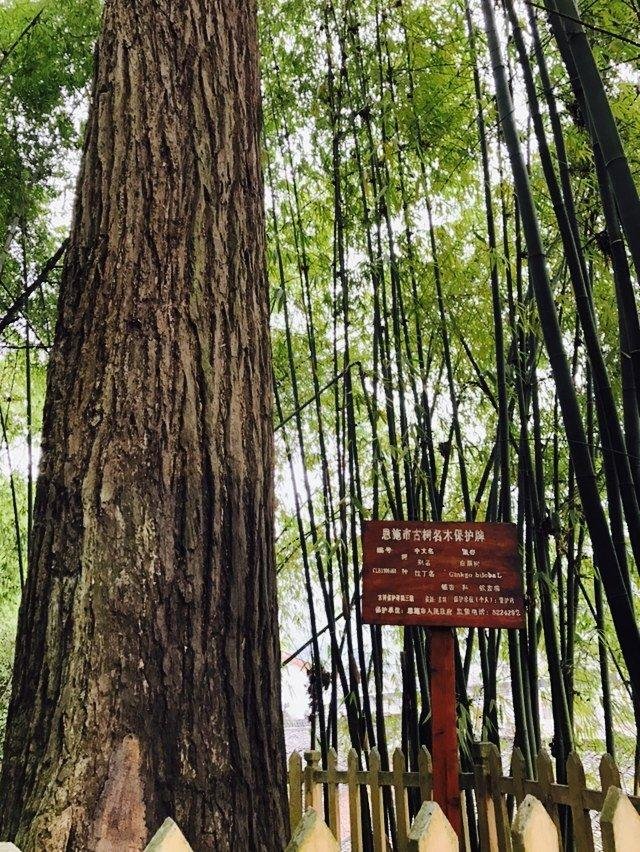 恩施有哪些旅游景点 恩施有什么好玩的