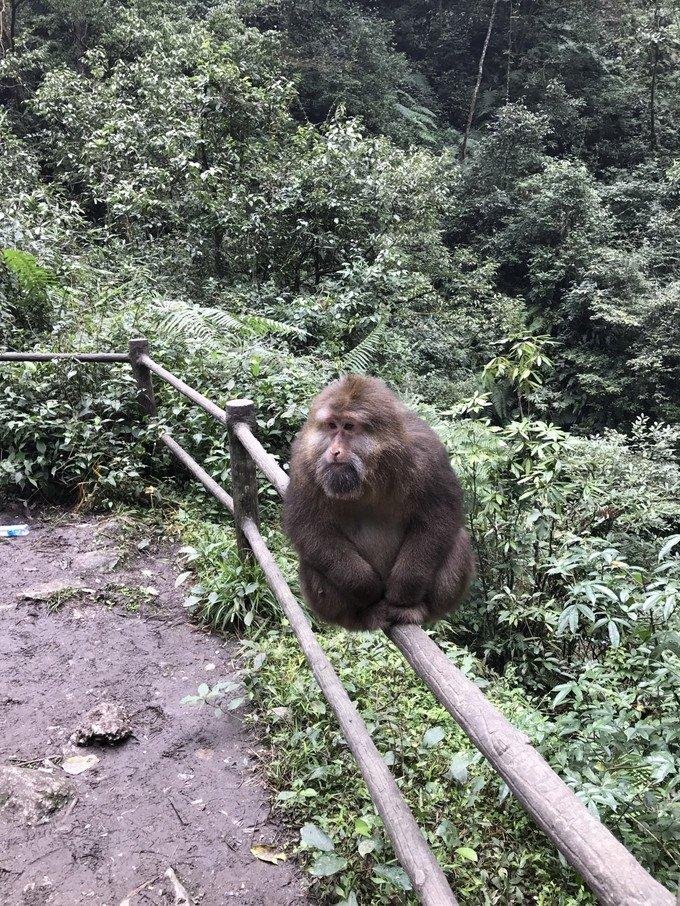 峨眉山有什么景点 峨眉山有什么好吃的