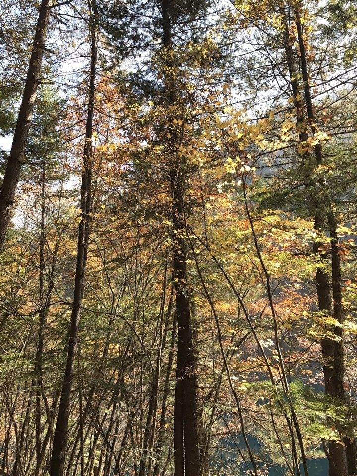 峨眉山有什么景点 峨眉山有什么好吃的