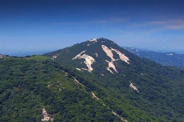 2024金顶山旅游攻略 - 门票价格 - 开放时间 - 优惠政策 - 交通 - 地址 - 电话 - 天气