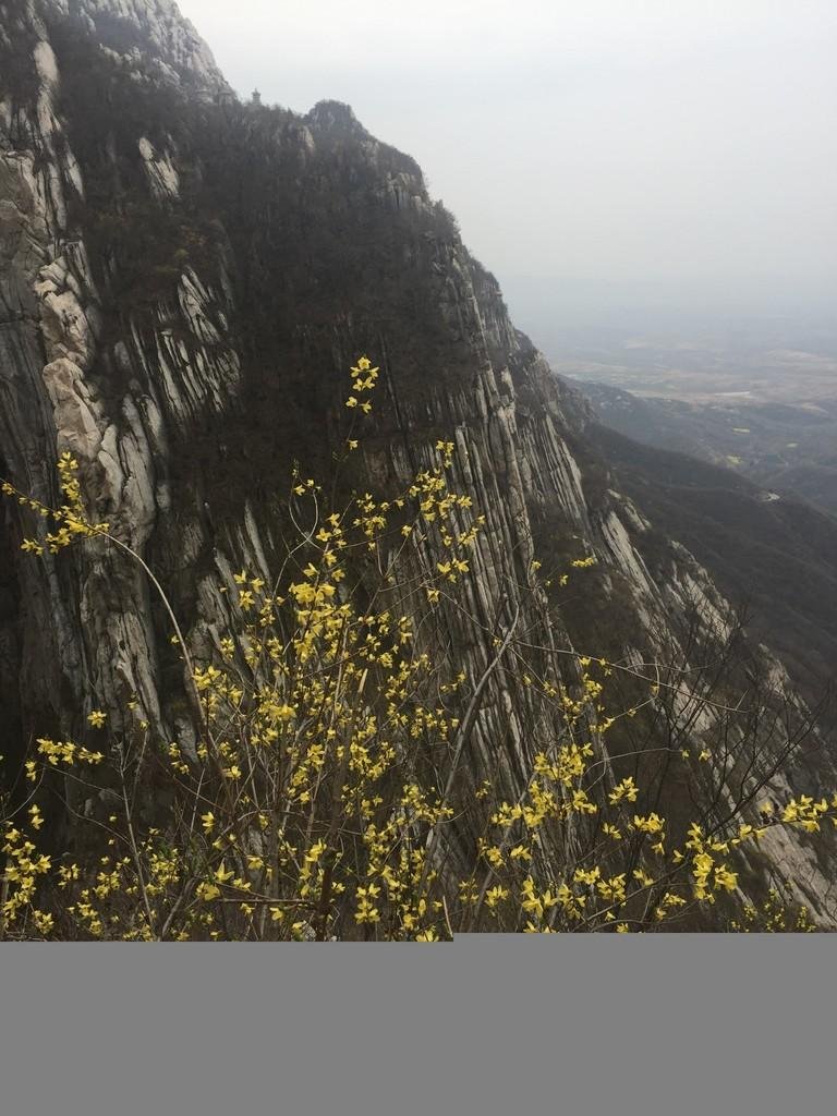 洛阳有哪些景点 洛阳必须去的旅游景点