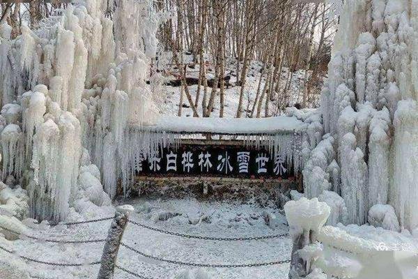 康乐县白桦林冰雪世界免费到什么时候？日常门票价格介绍