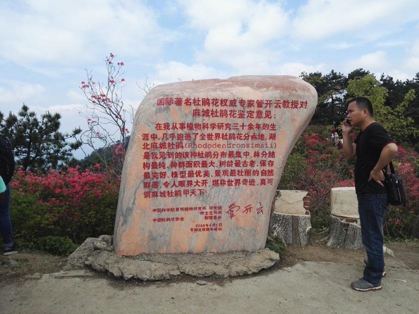 龟峰山风景区好玩吗 龟峰山旅游攻略