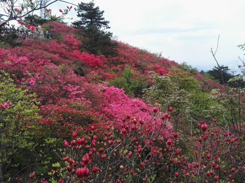 龟峰山风景区好玩吗 龟峰山旅游攻略