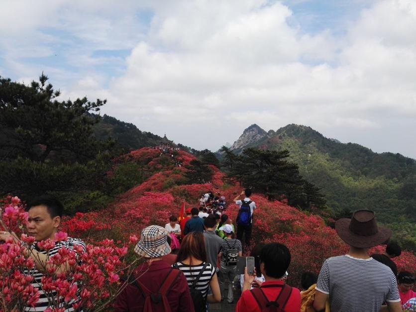 龟峰山风景区好玩吗 龟峰山旅游攻略