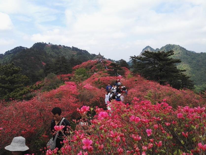 龟峰山风景区好玩吗 龟峰山旅游攻略