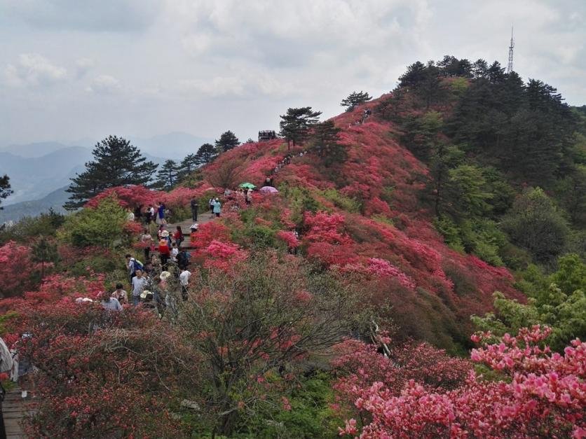 龟峰山风景区好玩吗 龟峰山旅游攻略