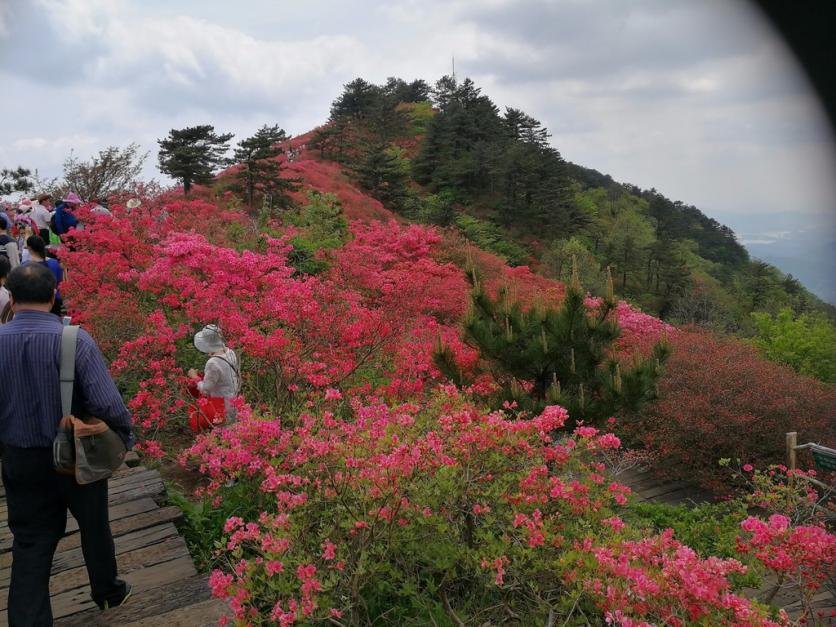 龟峰山风景区好玩吗 龟峰山旅游攻略