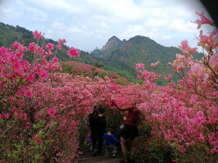 龟峰山风景区好玩吗 龟峰山旅游攻略