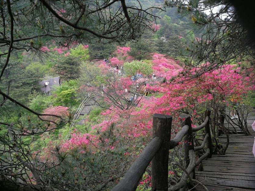 龟峰山风景区好玩吗 龟峰山旅游攻略