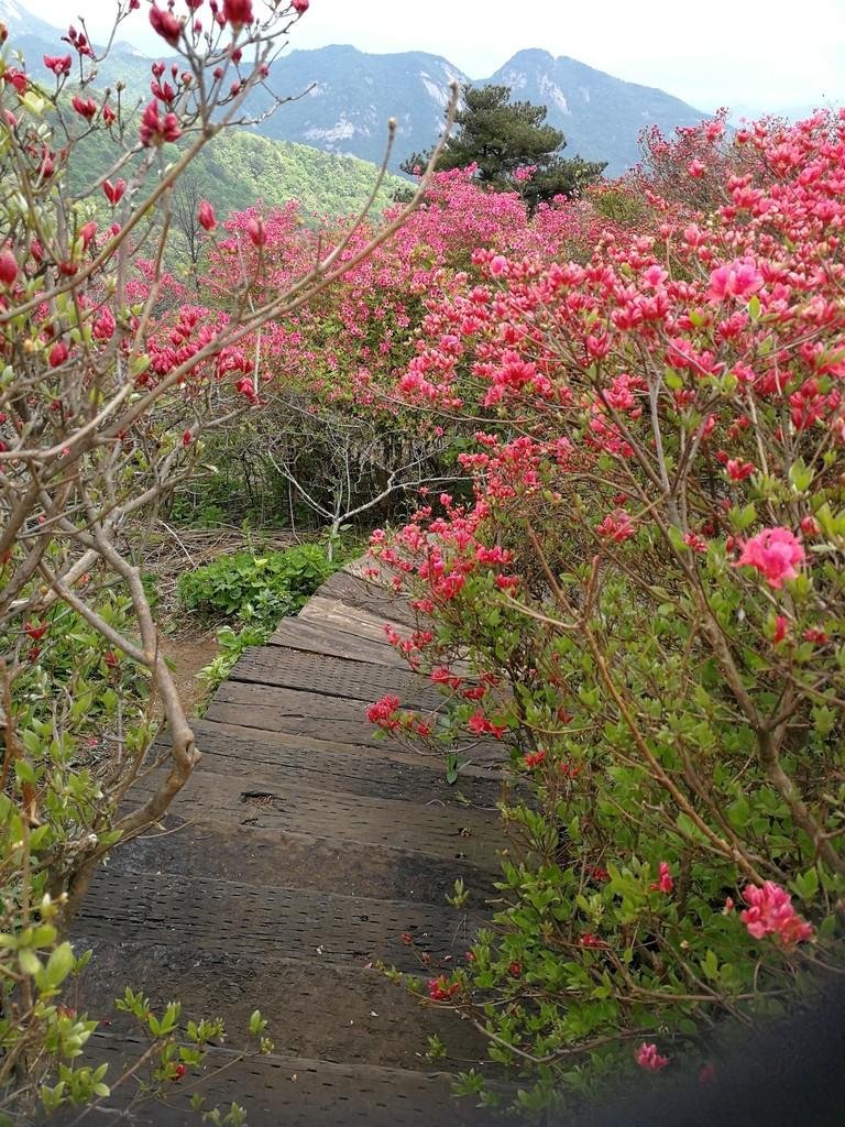 龟峰山风景区好玩吗 龟峰山旅游攻略