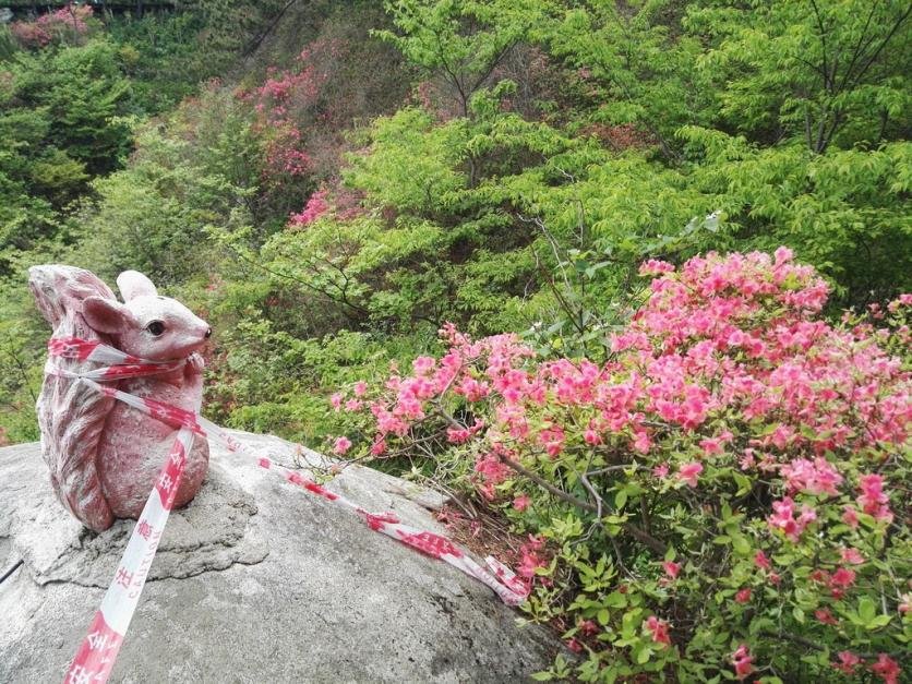 龟峰山风景区好玩吗 龟峰山旅游攻略