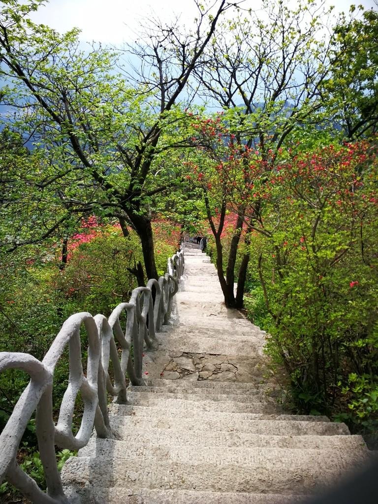 龟峰山风景区好玩吗 龟峰山旅游攻略