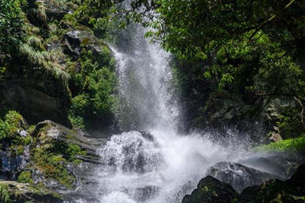 2022大岗山瀑布旅游攻略 - 门票 - 交通 - 地址