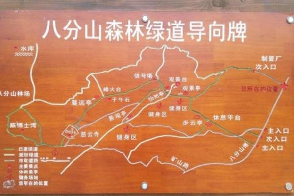 江夏八分山上山路线