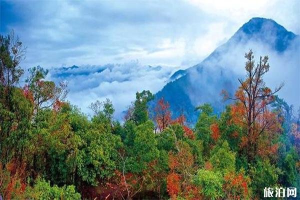 2022抚州麻姑山风景区简介 - 门票价格 - 交通指南