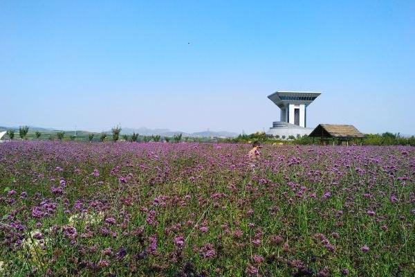 蒙山金伯利钻石矿游玩攻略-门票价格-景点信息