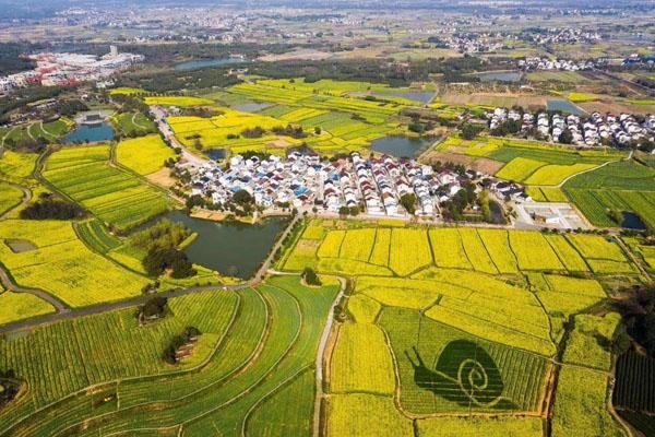 南京高淳国际慢城旅游度假区景区怎么游览