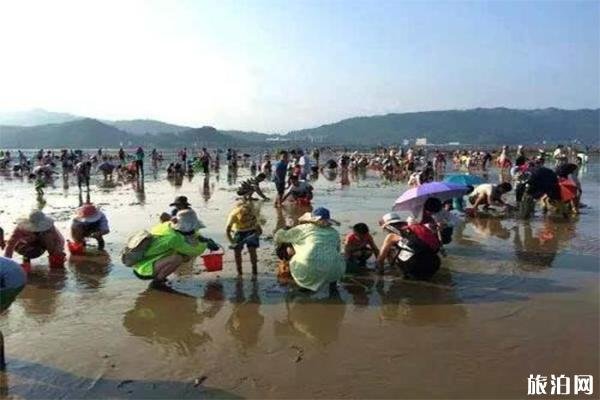 福建连江赶海一号赶海一日游