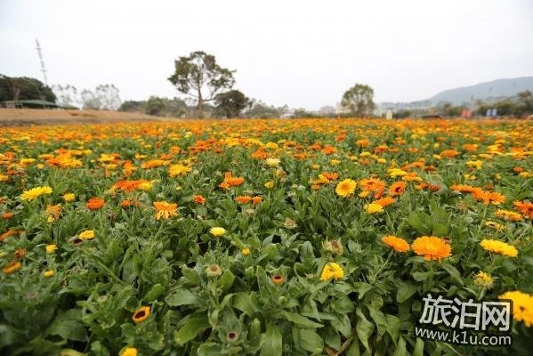 2018年春节期间深圳大鹏区有哪些好玩的地方推荐