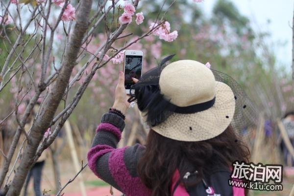 2018年春节期间深圳大鹏区有哪些好玩的地方推荐