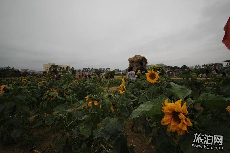 2018年春节期间深圳大鹏区有哪些好玩的地方推荐