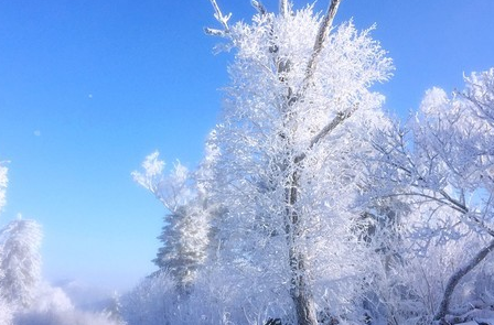 北大壶滑雪场在哪里  北大壶滑雪场价格是多少