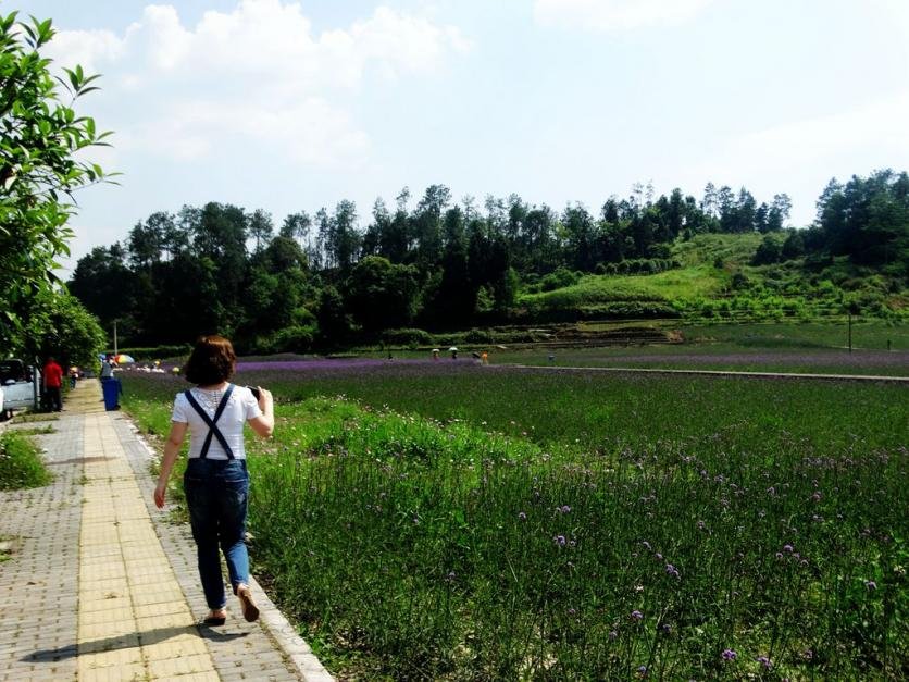 黎香湖好耍不 黎香湖好玩吗 黎香湖自助游攻略