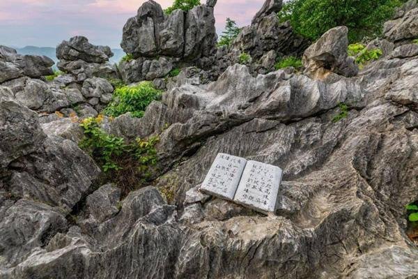 江西怪石林风景区旅游攻略-门票价格-景点信息