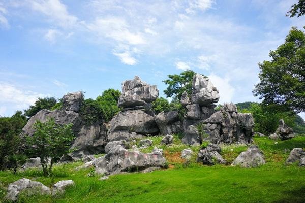 江西怪石林风景区旅游攻略-门票价格-景点信息