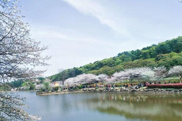 湖南省植物园门票多少钱 附网上预约指南