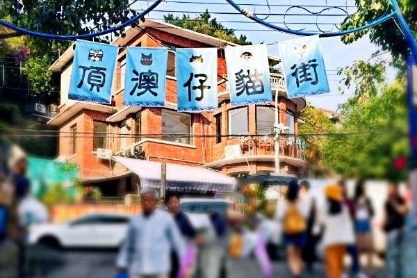 2023顶澳仔猫街游玩攻略 - 门票价格 - 开放时间 - 简介 - 地址 - 交通 - 天气 - 电话