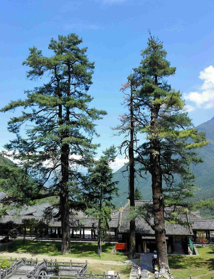 冕宁灵山寺在哪里 冕宁灵山寺好玩吗 冕宁灵山寺门票多少钱