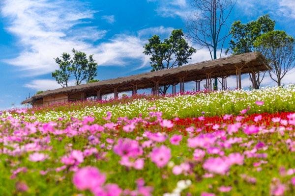 川南大草原游玩攻略-门票价格-景点信息