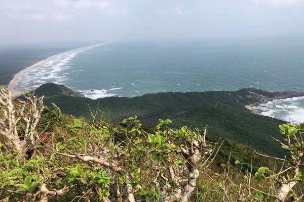 东郊椰林风景区旅游攻略-门票价格-景点信息