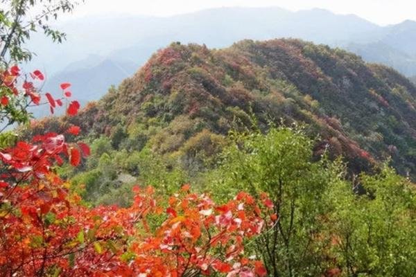 圭峰山一日游最佳路线