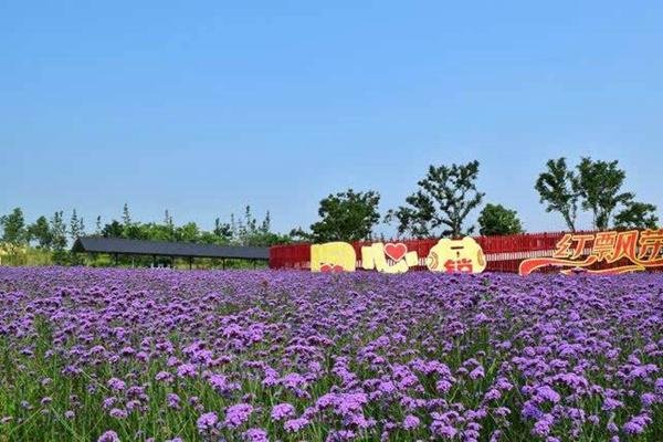 绍兴杭州湾海上花田门票价格-门票价格-景点信息