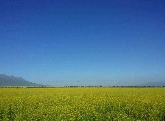 2017高考后旅游去哪里 高考后旅游推荐