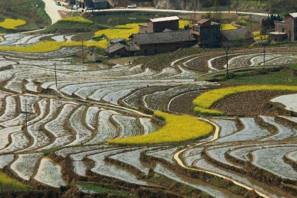 2023凤堰古梯田景区旅游攻略 - 门票 - 交通 - 天气 - 景点介绍