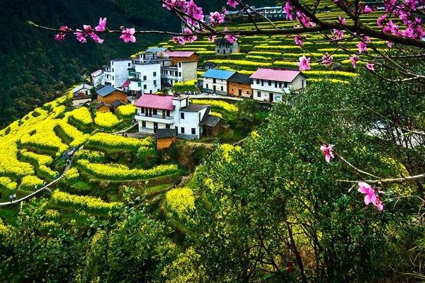 嘉兴周边自驾游哪里好 风景好的景点推荐